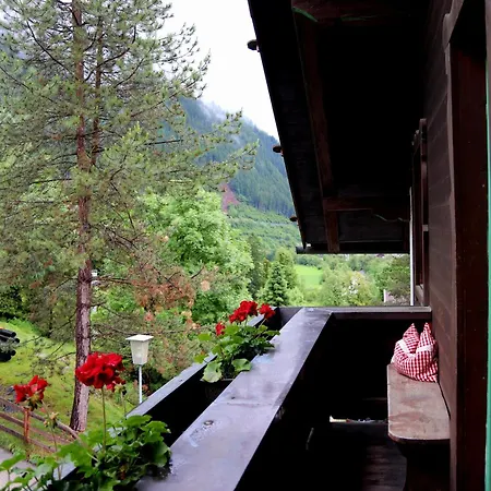 Apartamento Haus Bergfried *