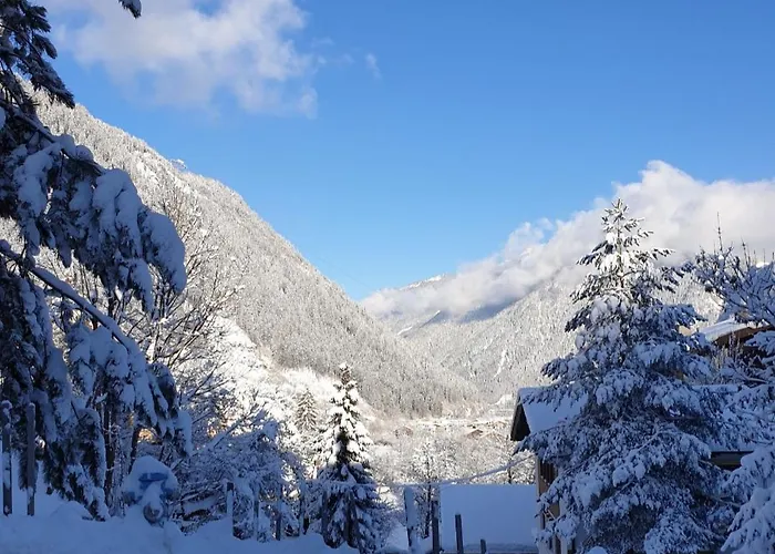 Haus Bergfried 公寓 弗林肯贝格