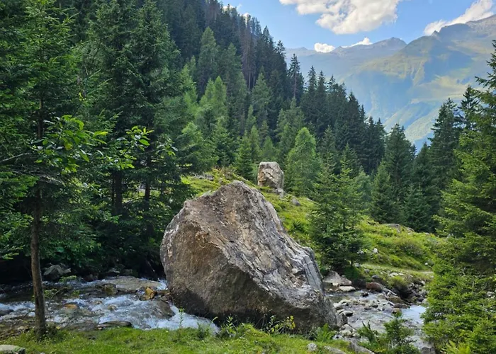 Haus Bergfried 公寓