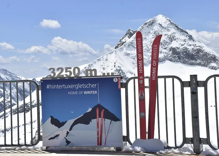 Haus Bergfried * 弗林肯贝格