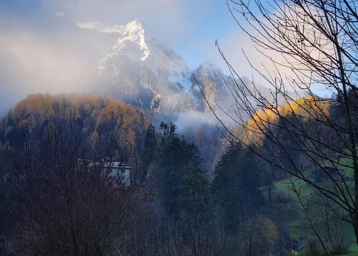 Appartement Haus Bergfried *